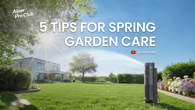 5 Tips for Spring Garden Care